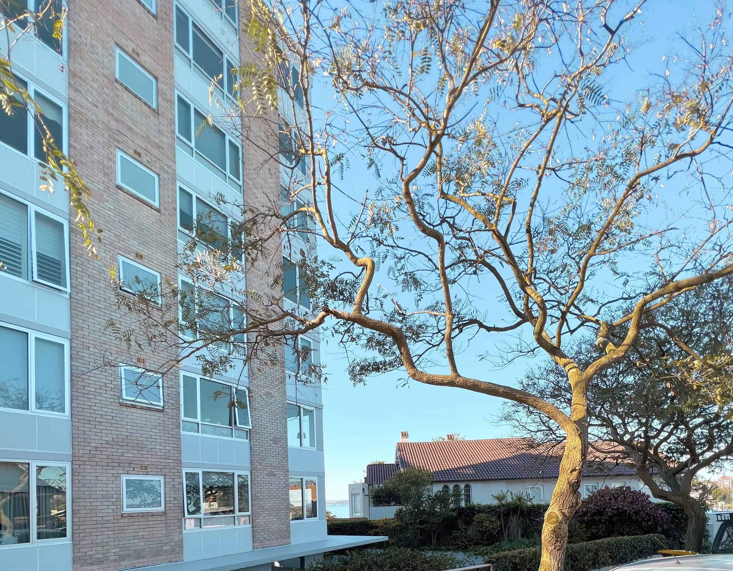 element13 at 1 Sutherland Crescent Darling Point Reclad — 2