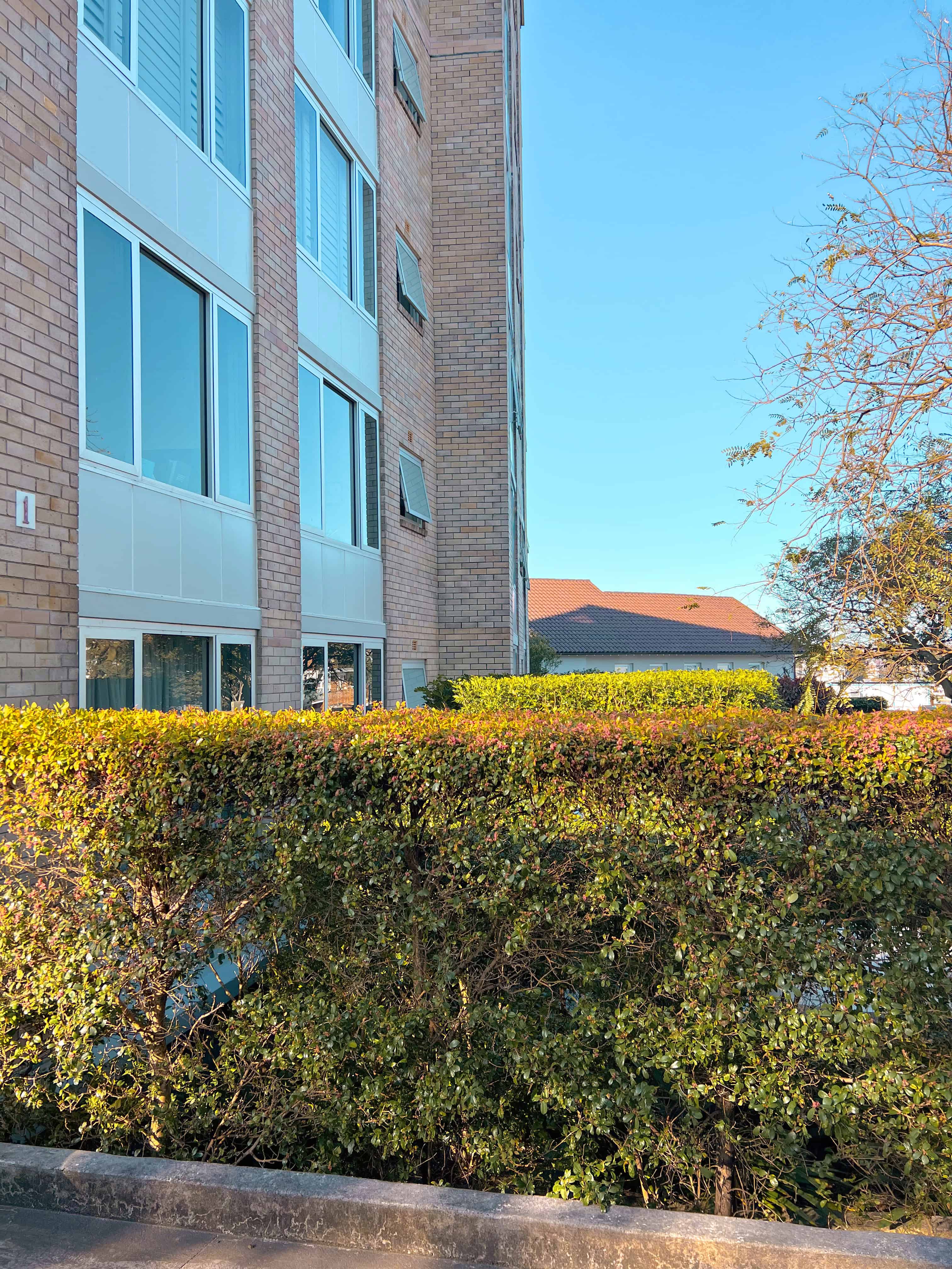 element13 at 1 Sutherland Crescent Darling Point Reclad — 3