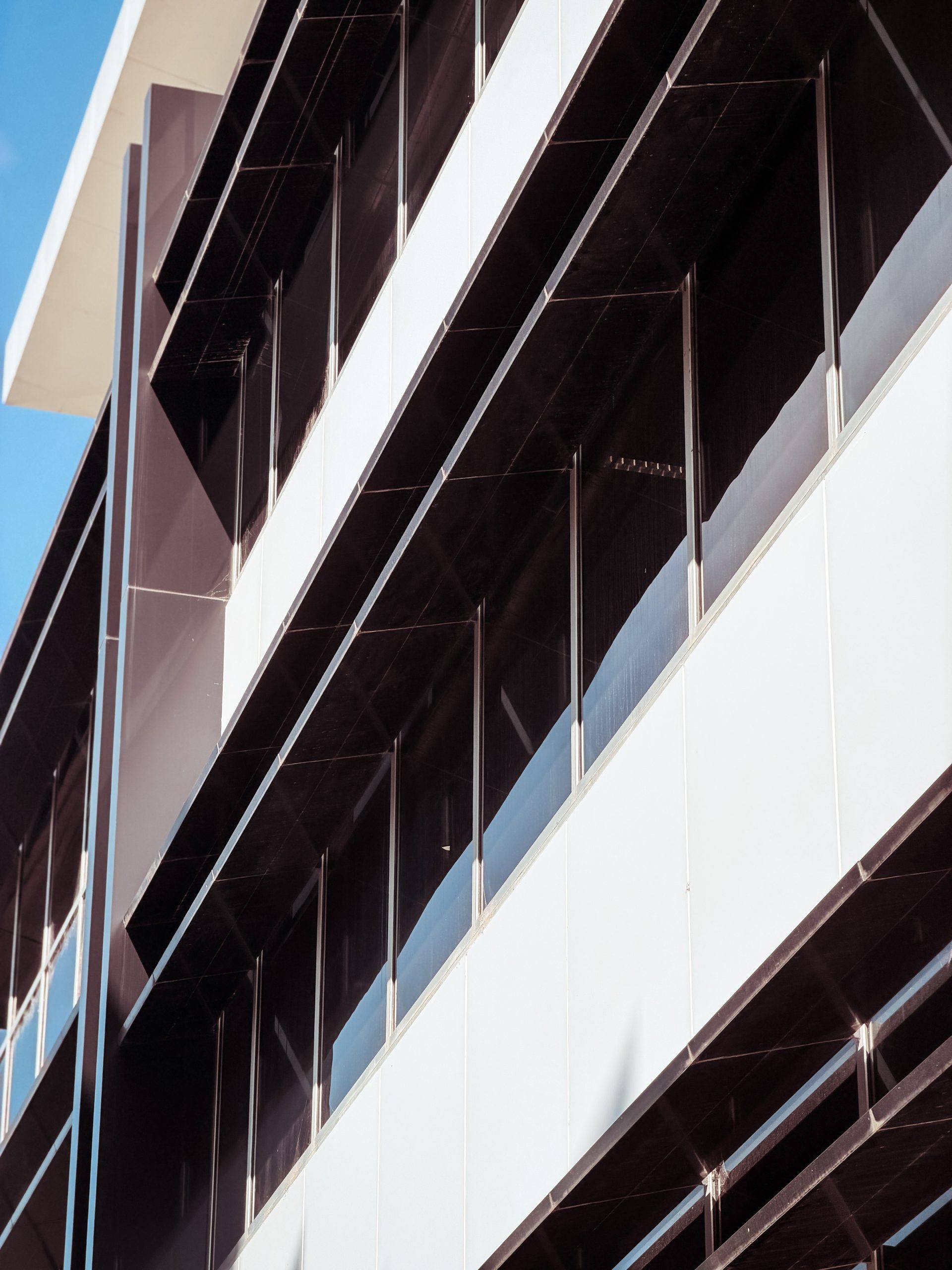 element13 at 113 Canberra Ave Reclad — 11