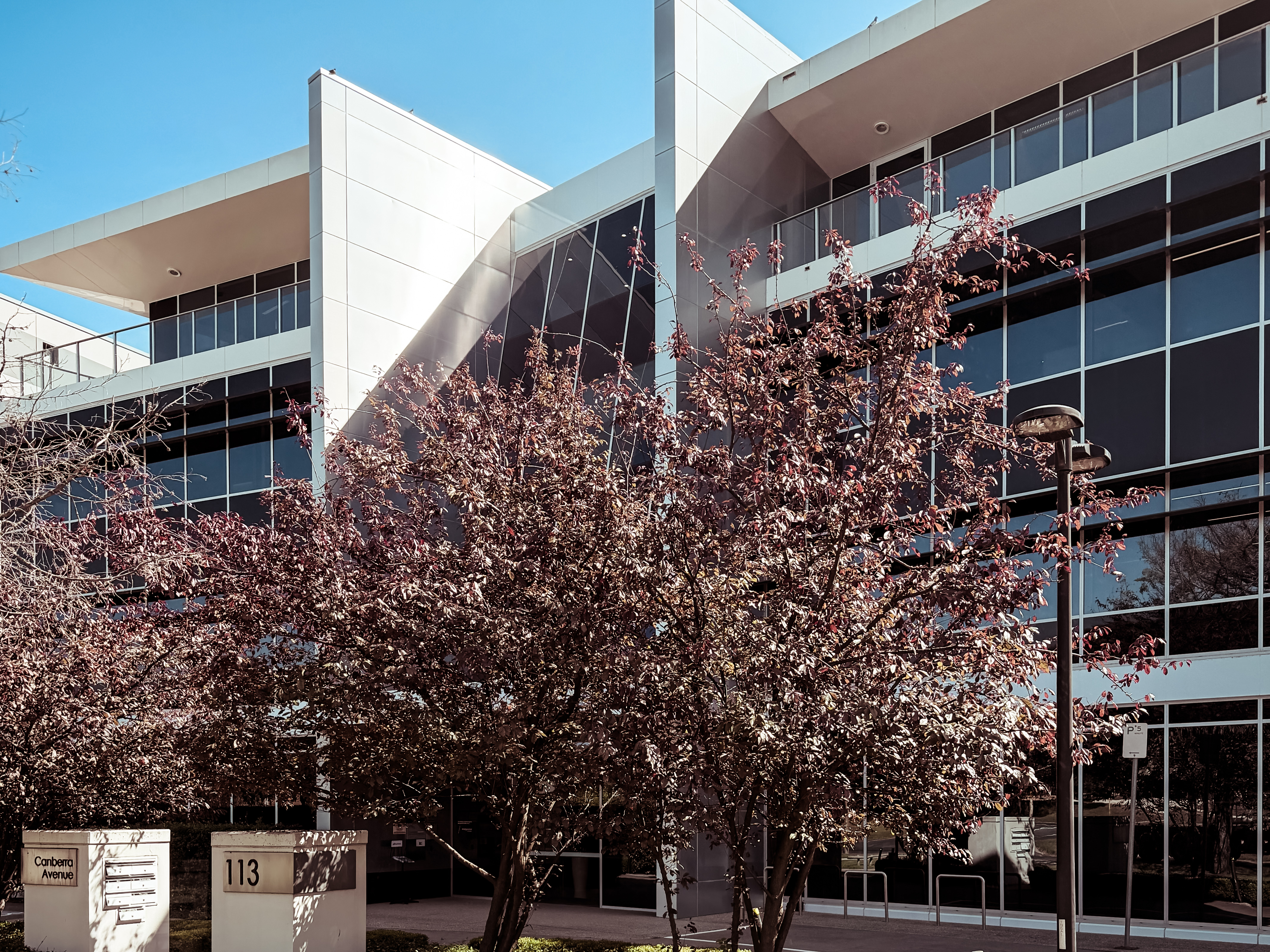 element13 at 113 Canberra Ave Reclad — 3