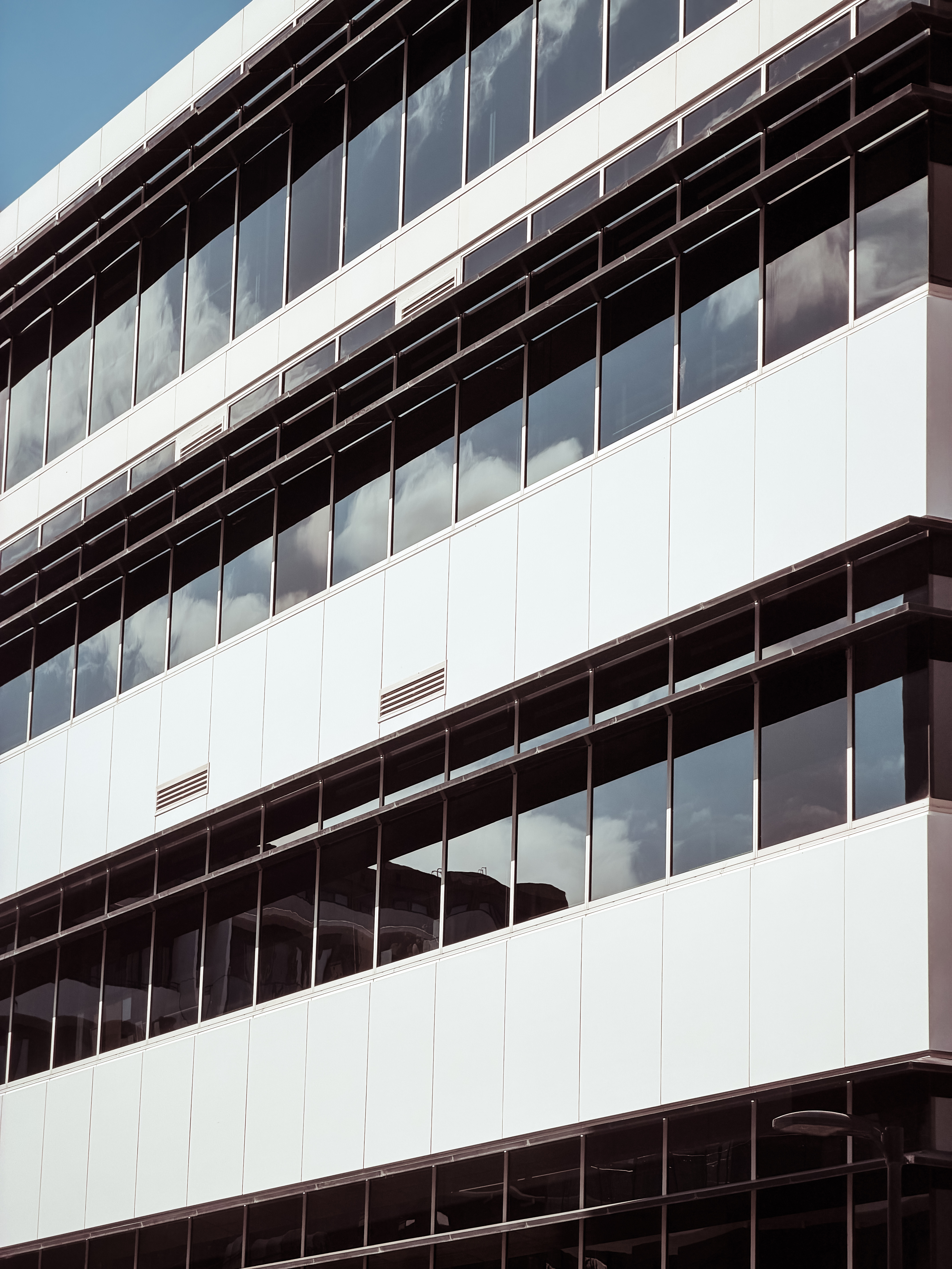 element13 at 113 Canberra Ave Reclad — 6