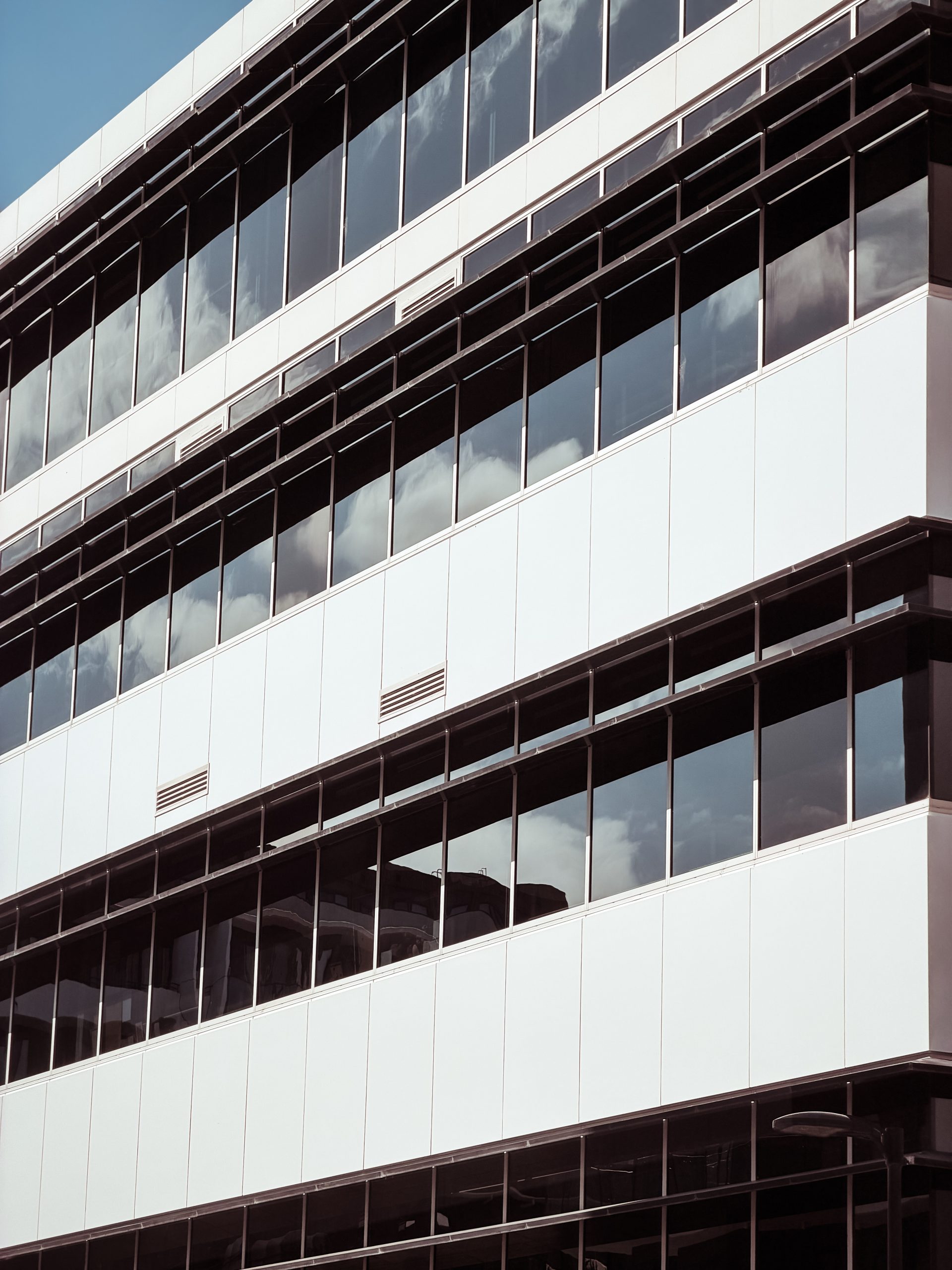 element13 at 113 Canberra Ave Reclad — 9