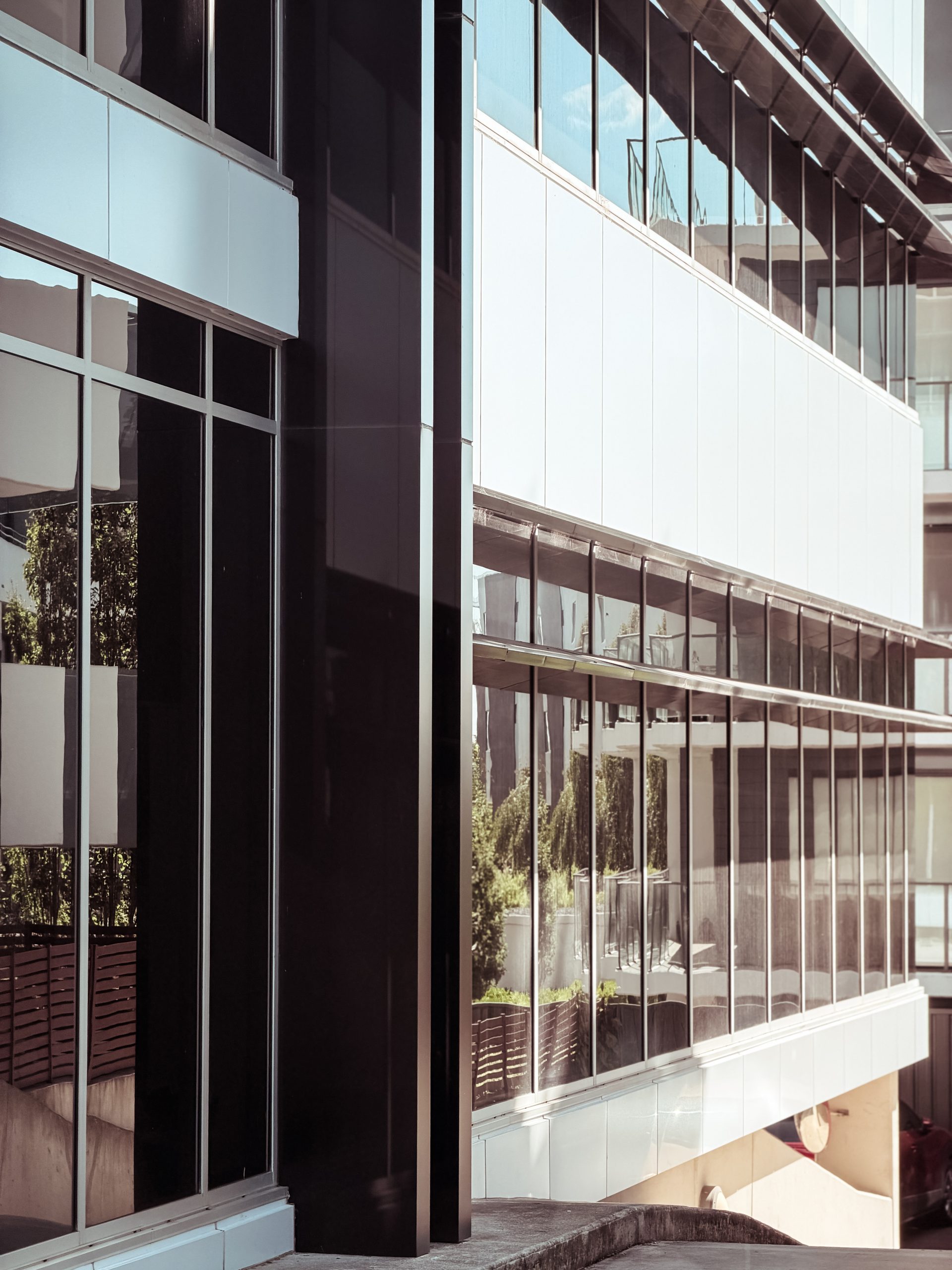 element13 at 113 Canberra Ave Reclad — 10