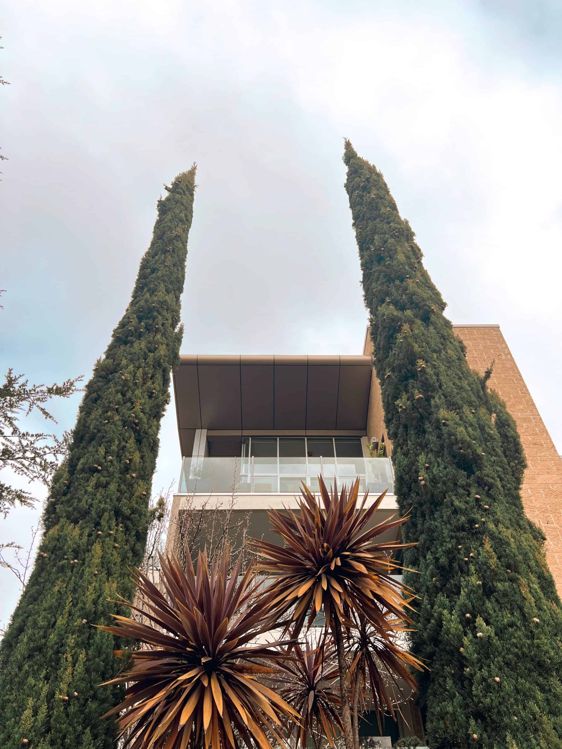 element13 at 32-38 Canberra Avenue Reclad — 8