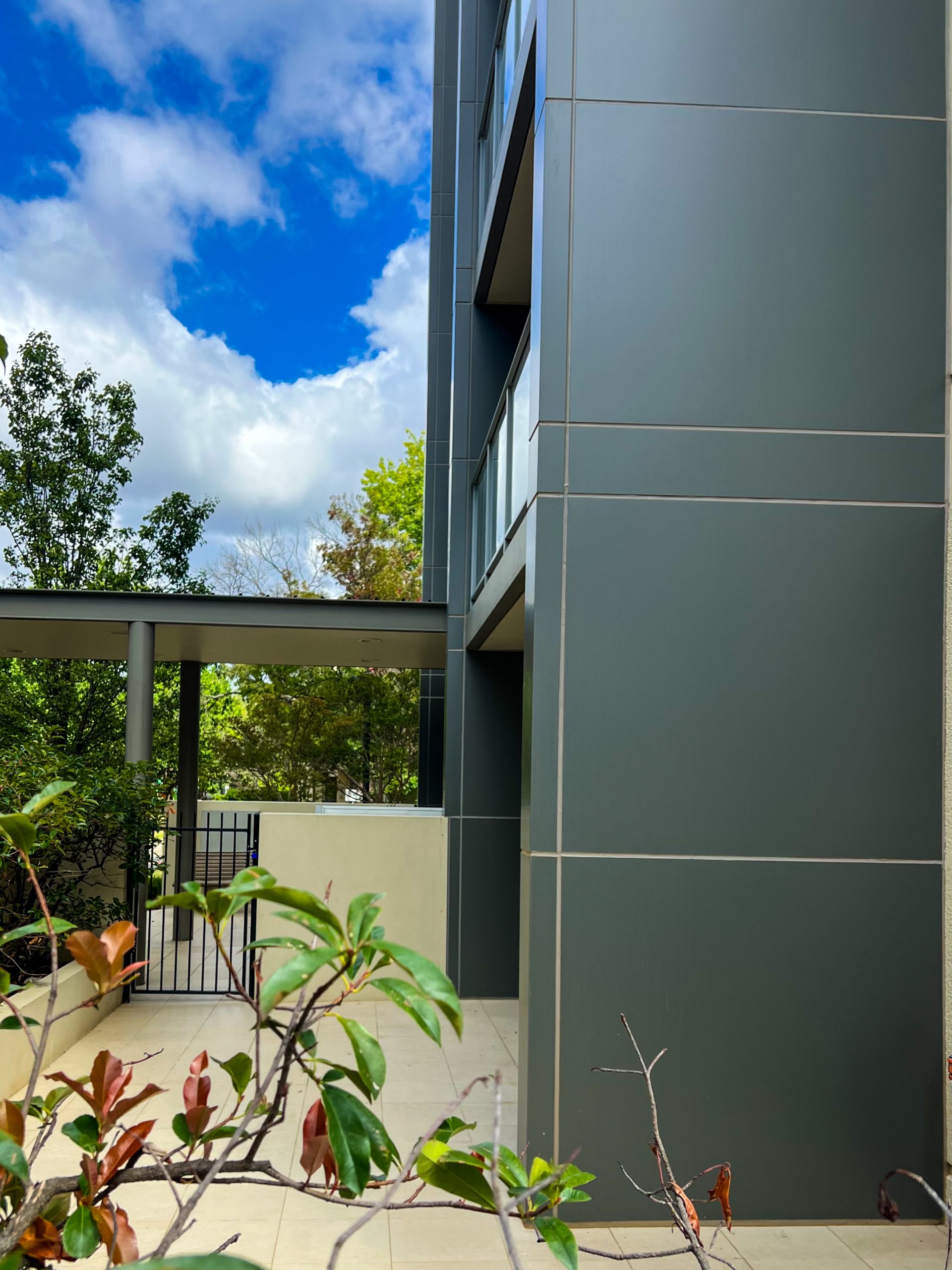 element13 at 5 Gould Street Reclad — 3