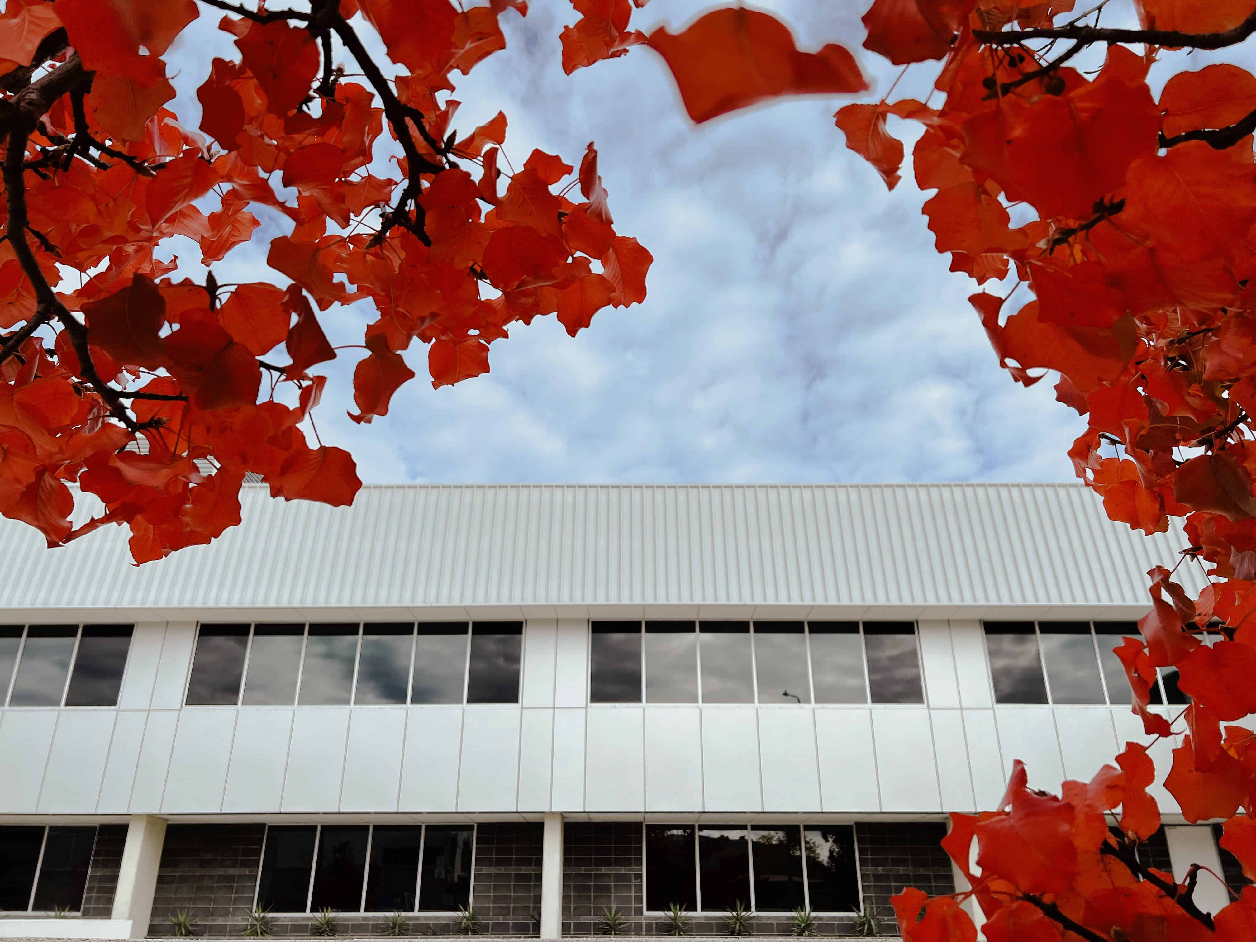 element13 at Holwell Street Greenway Reclad — 3