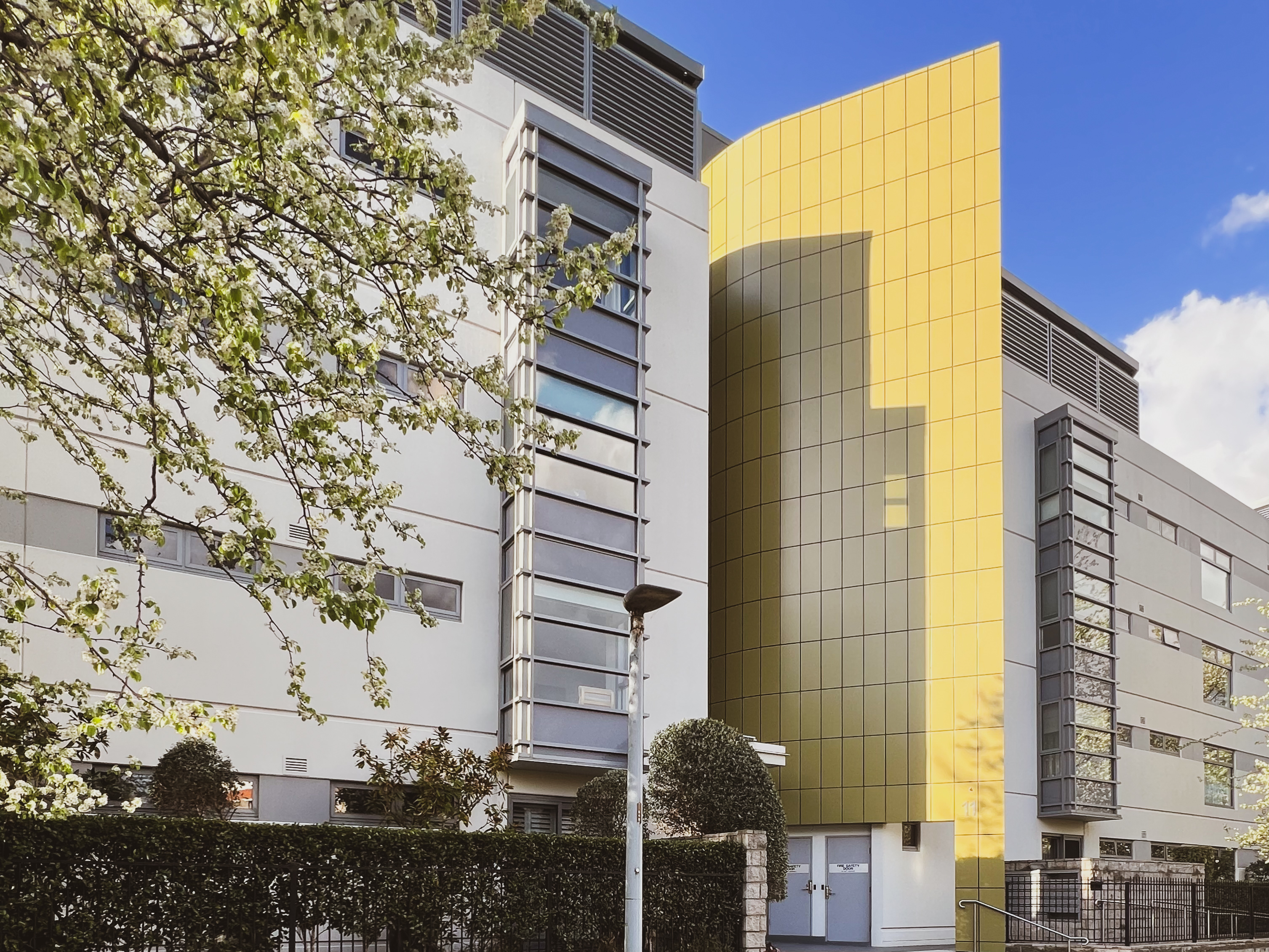 element13 at Waterfront Apartments, Kingston Reclad — 4