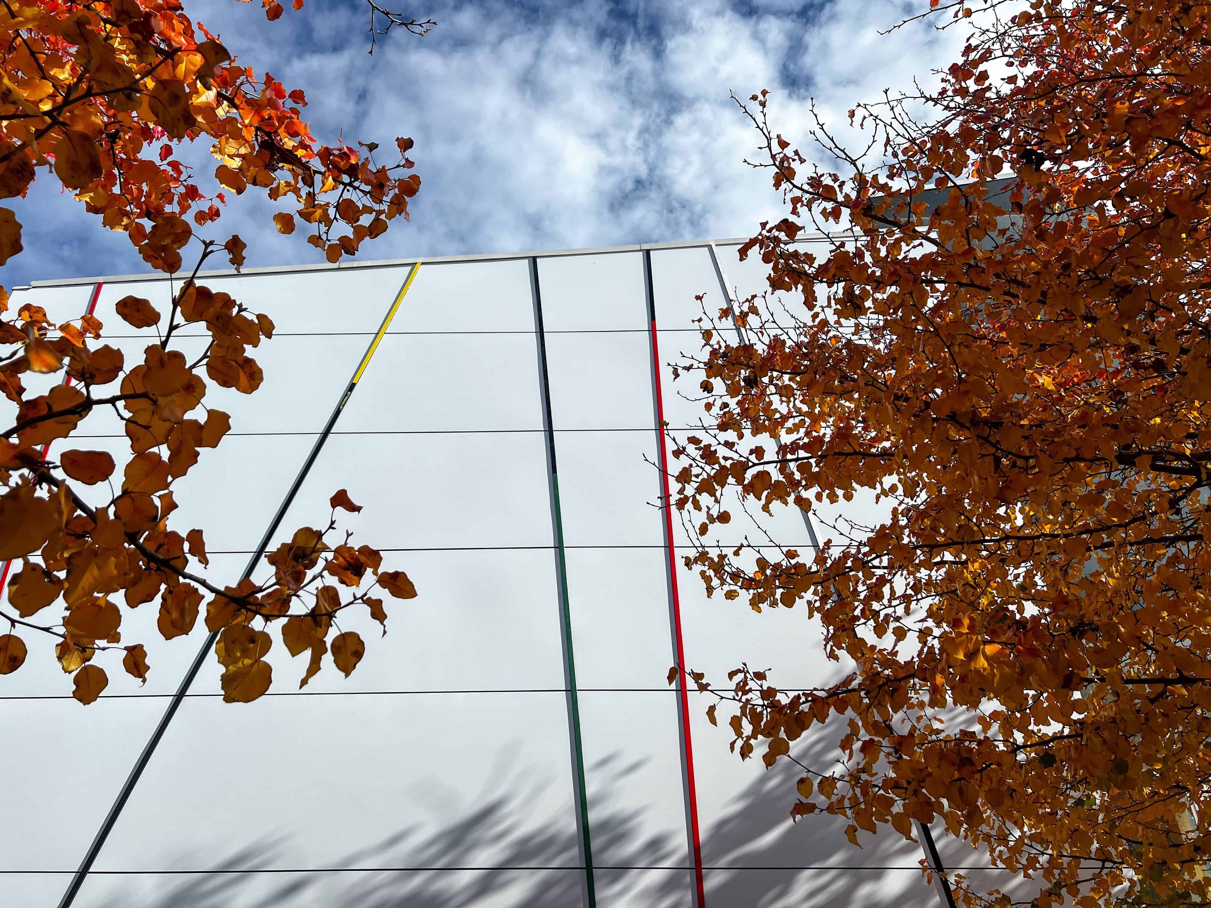 element13 at Gungahlin College Reclad — 7